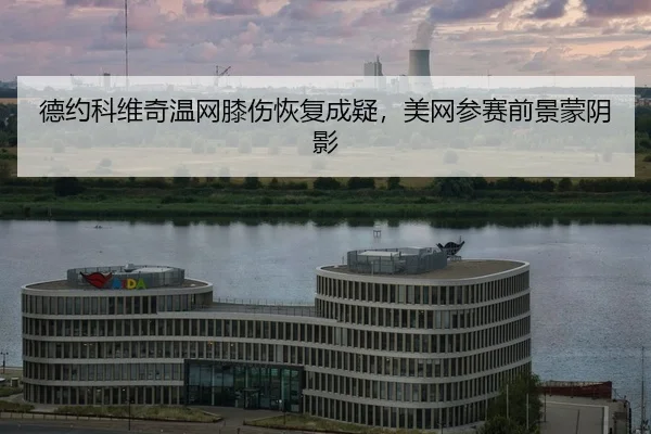 de-yue-ke-wei-qi-wen-wang-xi-shang-hui-fu-cheng-yi-mei-wang-can-sai-qian-jing-meng-yin-ying-2-538.jpg