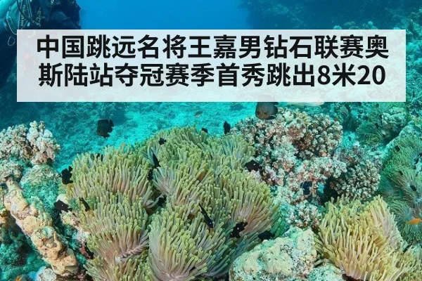 中国跳远名将王嘉男钻石联赛奥斯陆站夺冠赛季首秀跳出8米20